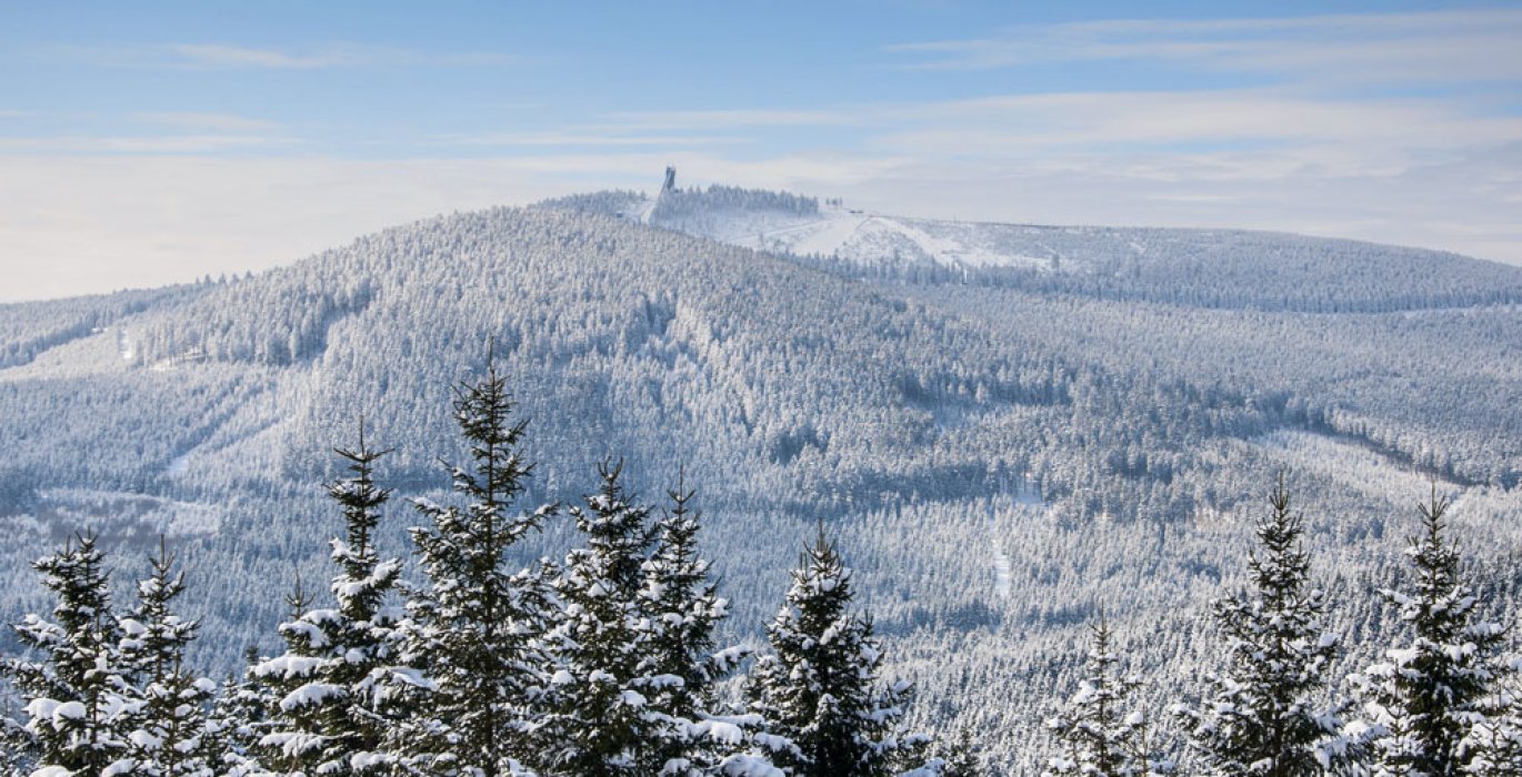 Harz im Winter