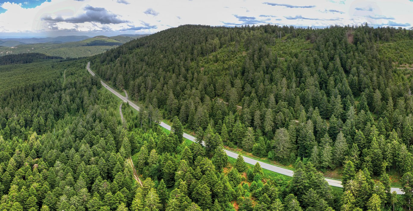 Schwarzwaldhochstraße