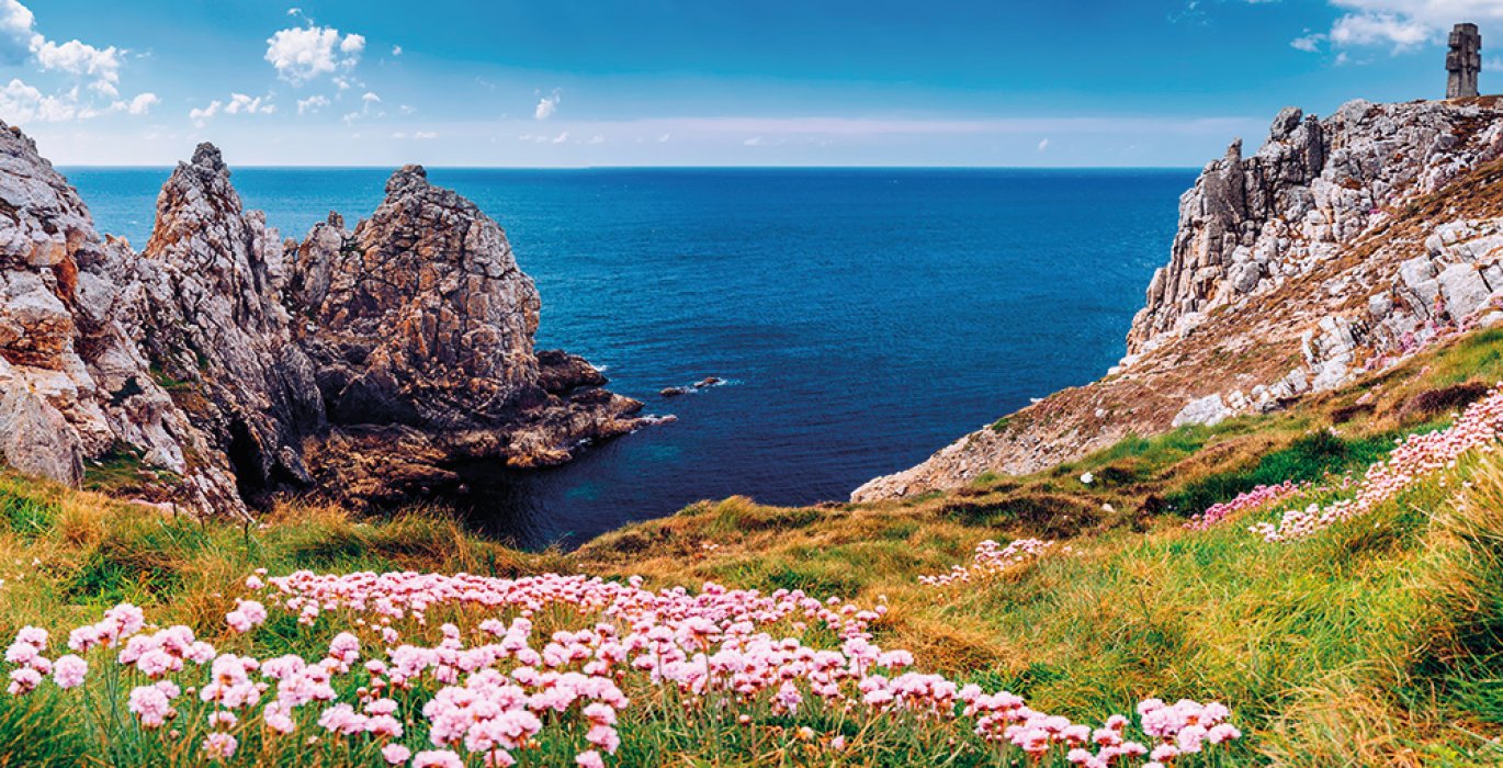 Rosa Granitküste Bretagne
