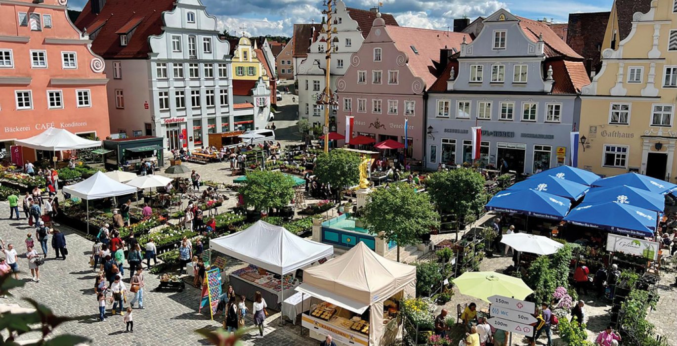 Fuchsienmarkt

