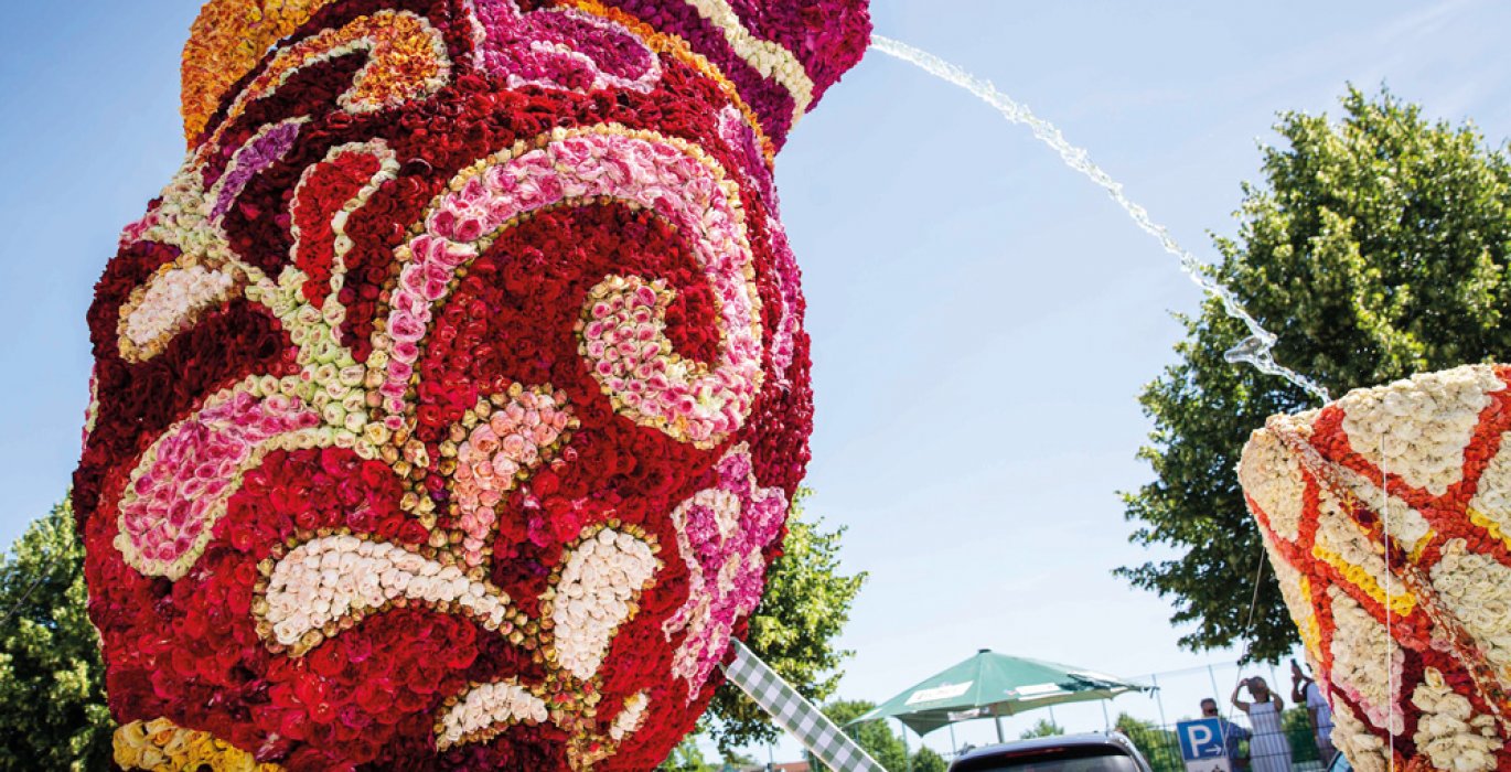 Steinfurther Rosenfest Prunkwagen
