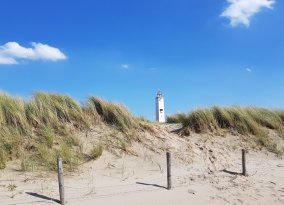 NLD, NL, Niederlande, Holland, Noordwijk, Sommer,