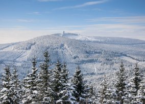 Harz im Winter