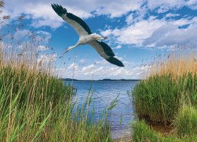 Lausitz, Berzdorfer See bei Görlitz
