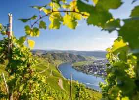 Mosel 