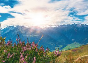 Landschaft bei Bramberg
