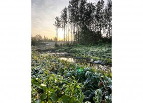 Landesgartenschau Leinefelde-Worbis 2026
