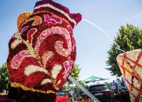 Steinfurther Rosenfest Prunkwagen
