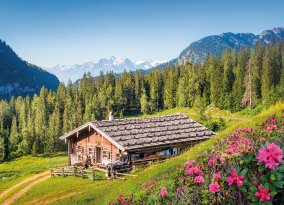 Almhütte in den Bergen
