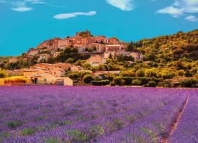 Lavendelfeld in der Provence
